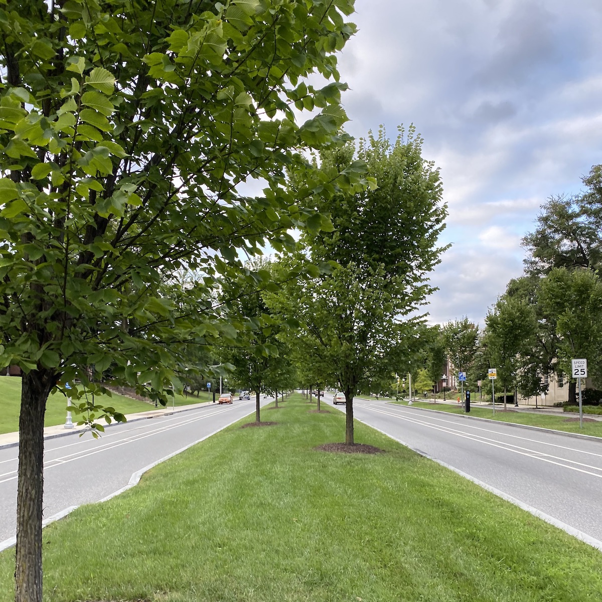 Undeveloped median on Charles