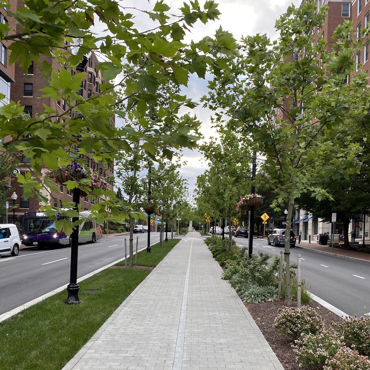 Olmsted parkway near JHU